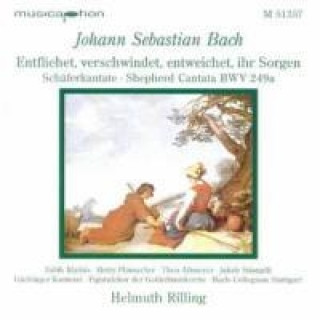 Audio Schäferkantate Helmuth Rilling