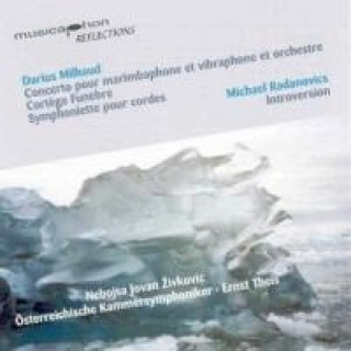 Audio Marimbakonzert/Introversion/+ Ernst Theis