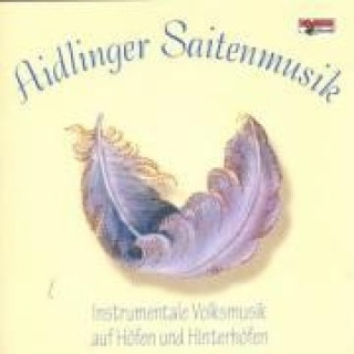 Audio Instrumentale Volksmusik Auf Höfen Und Hinterhöfen Aidlinger Saitenmusik