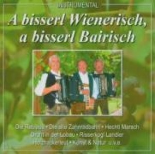 Аудио A bisserl wienerisch,a bisserl bairisch Duo Halletz-Rutz & Wamser-Rutz