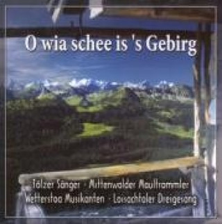 Audio O wia schee is 's Gebirg Tölzer Sänger/Wetterstoa Musikanten