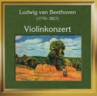 Audio Violinkonzert Philh. Slavonica/Perowsky Violi