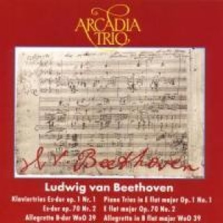 Audio Klaviertrios Arcadia Trio