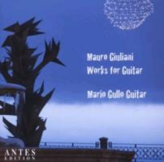 Audio Works For Guitar Mario Gullo