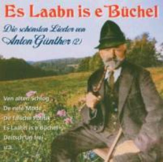 Audio ES LAABN IS E BÜCHEL A. /SCHÖNSTE LIEDER(2) GÜNTHER