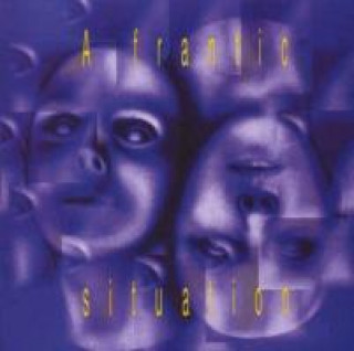 Audio  A Frantic Situation Various Bhangra Artists