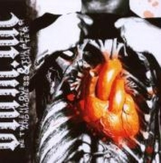 Zvok Versus The After Chapter Between Love And Madness