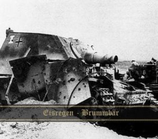 Audio Brummbär-EP Eisregen