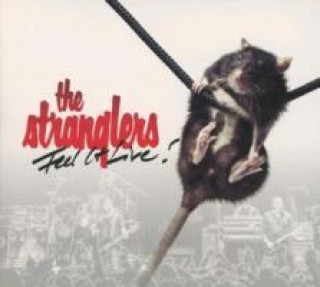 Audio Feel It Live The Stranglers