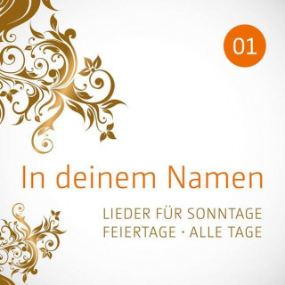 Audio In deinem Namen,Vol. 1 Various