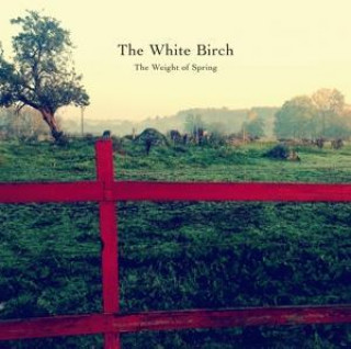 Audio The Weight Of Spring The White Birch