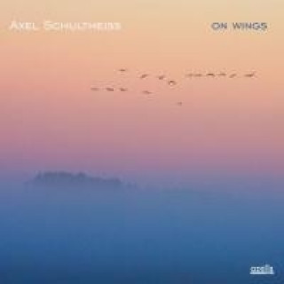 Audio On Wings Axel Schultheiss