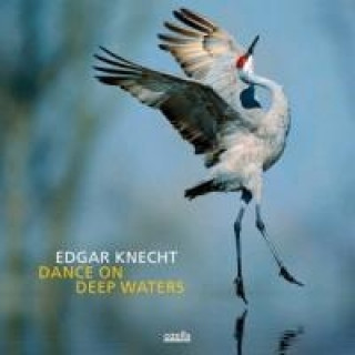 Audio Dance On Deep Waters Edgar Knecht