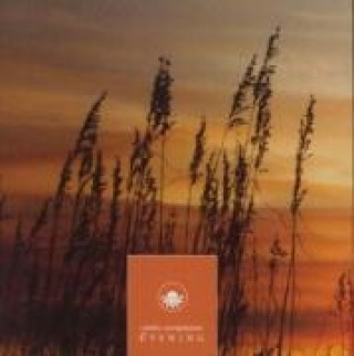 Audio Evening-Ozella Compilation Various