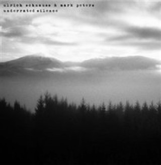 Аудио Underrated Silence Ulrich/Peters Schnauss