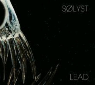 Audio Lead Solyst