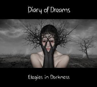 Audio Elegies in Darkness Diary Of Dreams