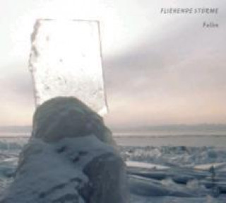 Audio Fallen (Reissue) Fliehende Stürme