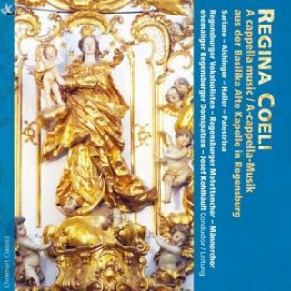 Аудио Regina Coeli-A Cappella Musik Kohlhäufl/Regensburger Vokalsolisten