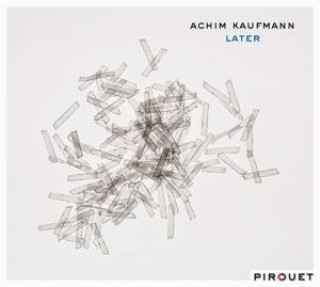 Audio Later Achim Kaufmann
