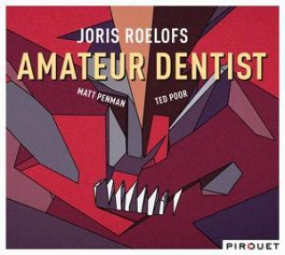 Audio Amateur Dentist Joris Roelofs