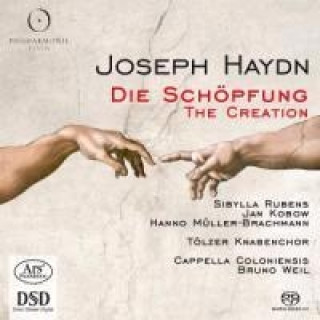 Audio Die Schöpfung Rubens/Kobow/Müller-Brachmann/Weill