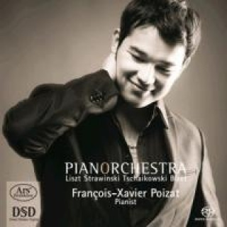 Audio PianOrchestra-Transkriptionen Francois-Xavier Poizat