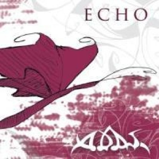 Audio Echo Adas