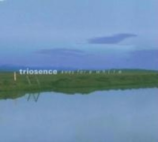 Audio Away For A While Triosence