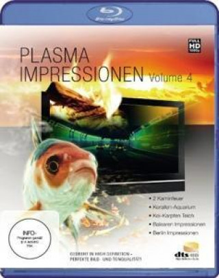 Video Plasma Impressionen 