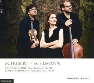 Audio Schubert und Schumann Morgenstern Trio