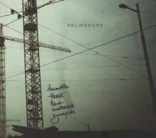 Audio Bundle These Last Scattered Palindrome