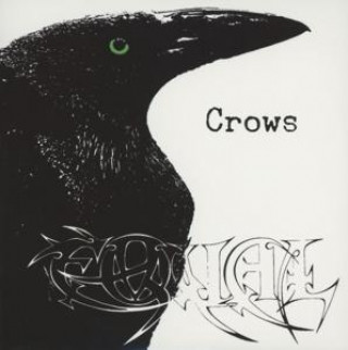 Audio Crows Equal