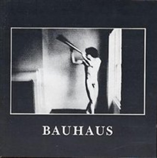 Audio In the flat field Bauhaus