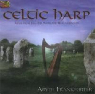 Zvok Celtic Harp Aryeh Frankfurter