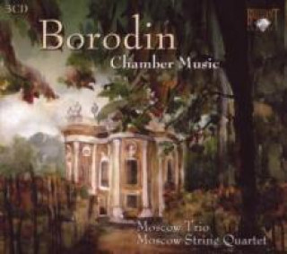 Audio Borodin: Sämtliche Kammermusik Alexander/Suliga Mndoiantz