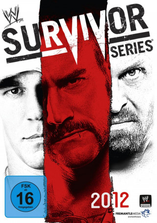 Video Survivor Series 2012 CM Punk