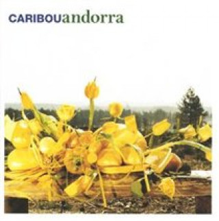Audio Andorra Caribou