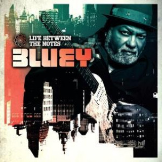 Zvok Life Between The Notes Bluey