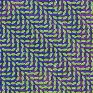 Audio Merriweather Post Pavilion Animal Collective