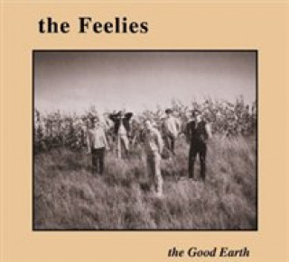 Audio The Good Earth The Feelies