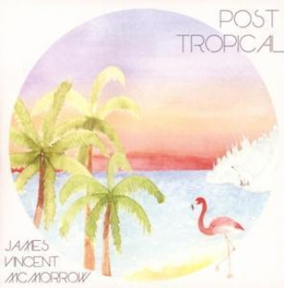 Zvok Post Tropical James Vincent McMorrow