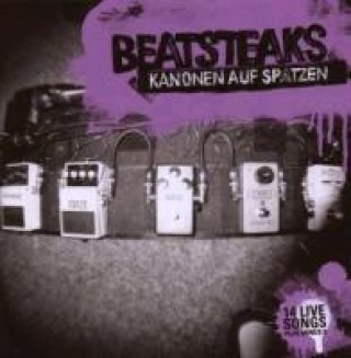 Audio Kanonen Auf Spatzen-14live Son Beatsteaks