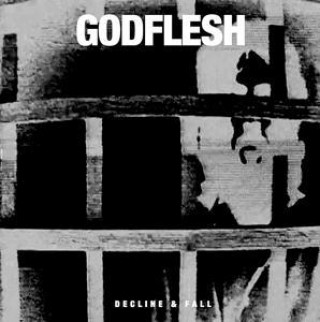 Audio Decline & Fall Godflesh