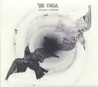 Zvok Distance Inbetween The Coral