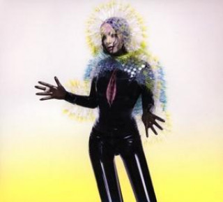 Audio Vulnicura Björk