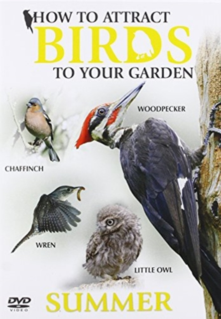 Видео Summer How to Attract Birds to Your Garden