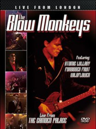 Film Live From London The Blow Monkeys