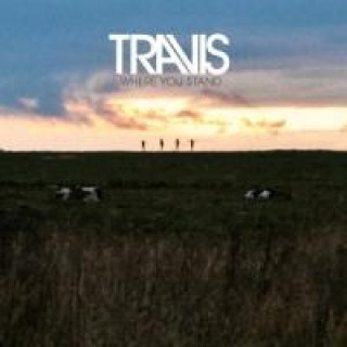 Zvok Where You Stand Travis