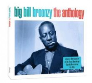 Audio The Anthology Big Bill Broonzy